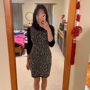 Black and leopard print Calvin Klein knit dress size petite small